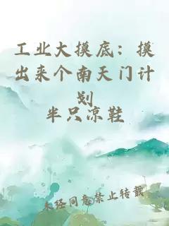 工业大摸底:摸出来个南天门计划